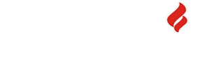 نسخه چاپی